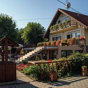 Sarokhaz Panzio B&B